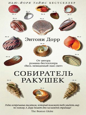 cover image of Собиратель ракушек